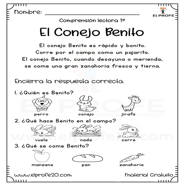 cuadernillo_de_comprension_lectora_de_primer_grado_elprofe20