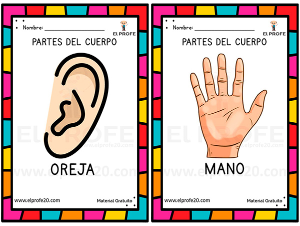 cuaderno_partes_del_cuerpo_primaria_elprofe20