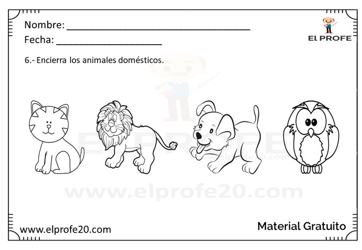 evaluacion_inicial_3_años_nivel_inicial_gratis