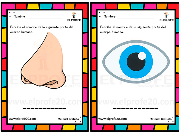 fichas_partes_del_cuerpo_primaria_gratis_elprofe20